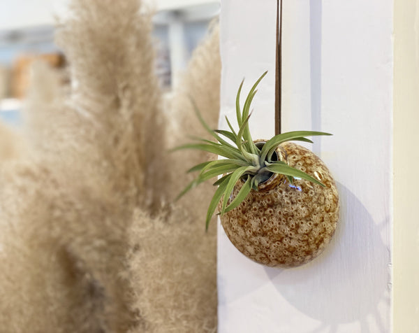 Hanging Wall Vase | CECE
