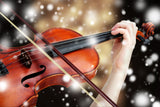 how to care for your violin in cold temperatures