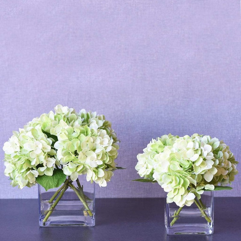 Hydrangea in Glass Vase Large Hydrangea in Glass Vase Large