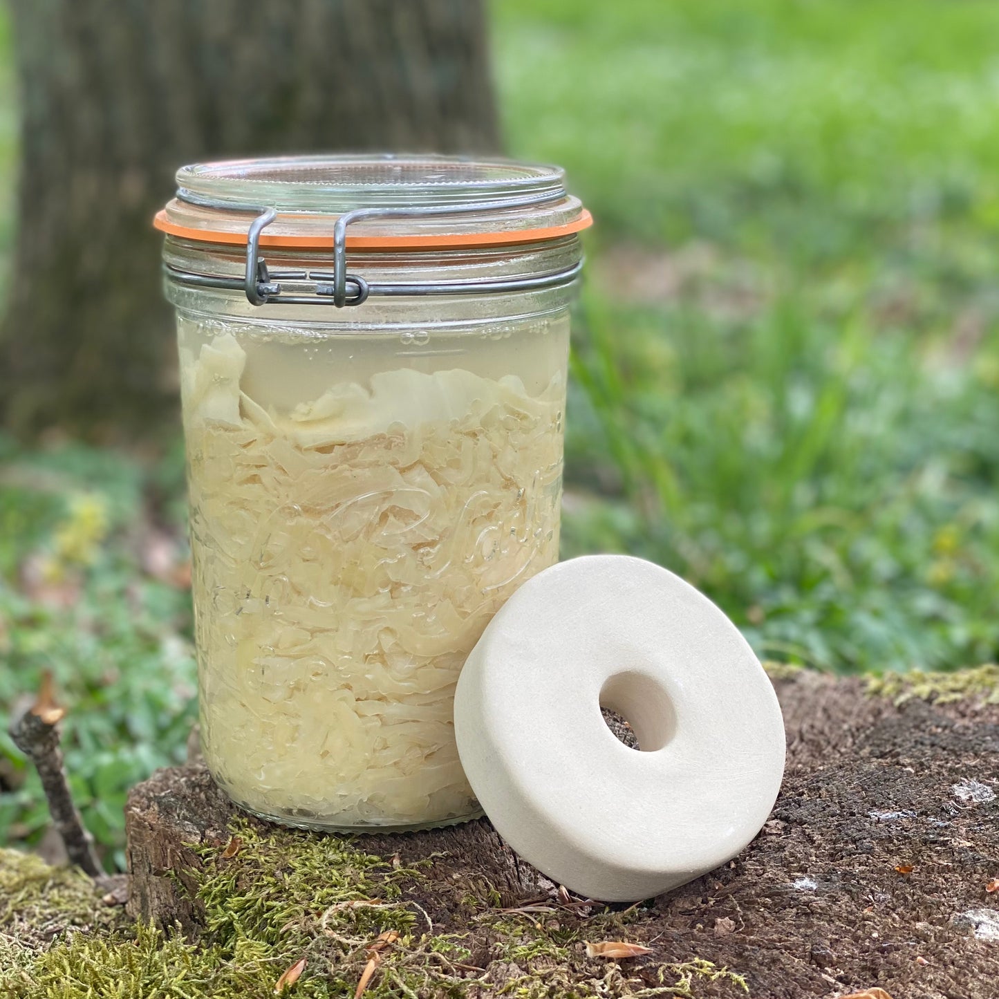 Fermentier Set