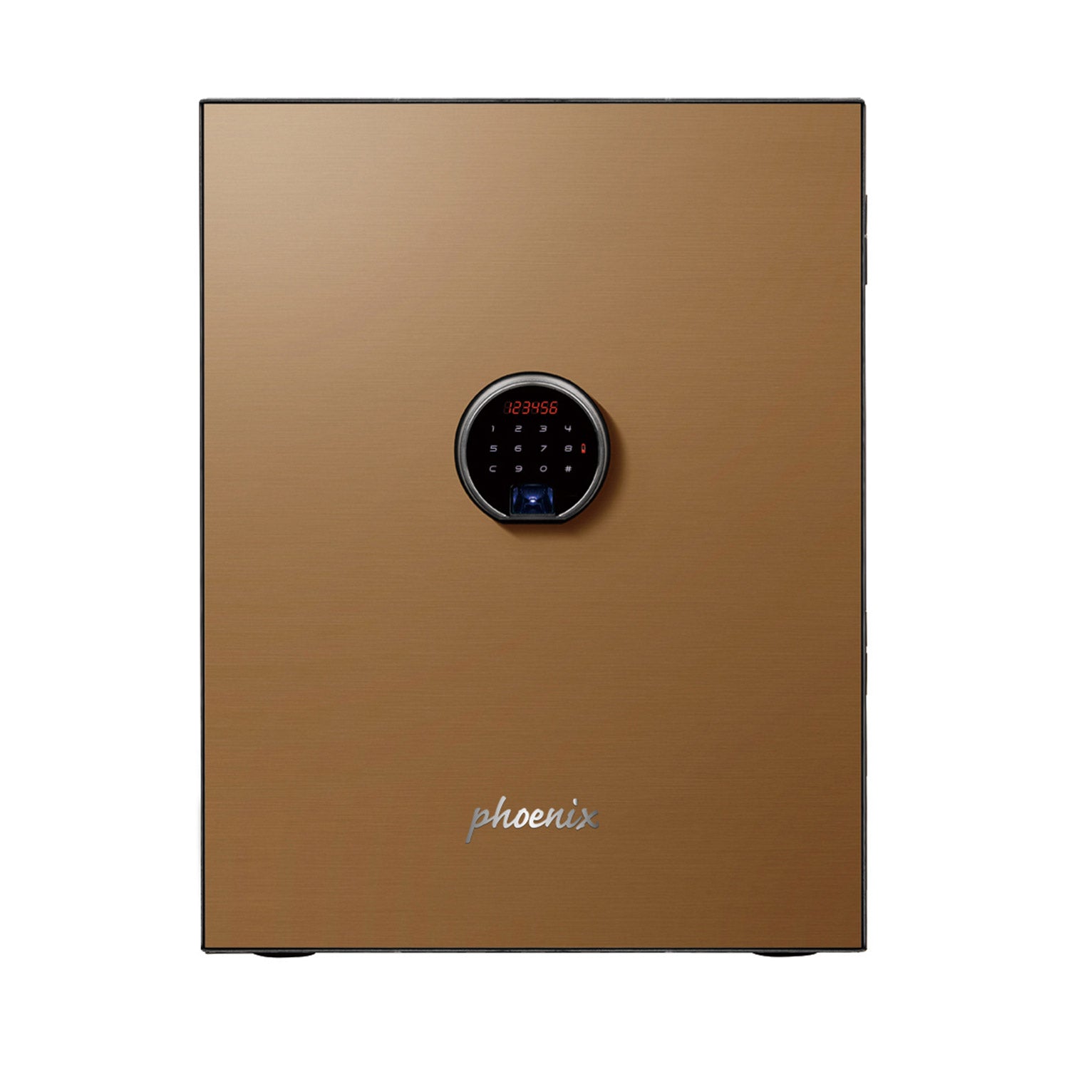 Phoenix Spectrum Plus LS6010 Luxury Fire Safe with Door Panel