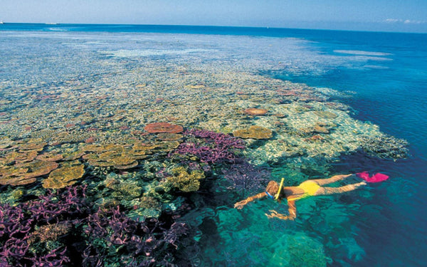 protect our coral reefs