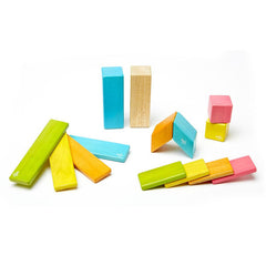 Tegu 14-Piece Magnetic Wooden Blocks - Tints
