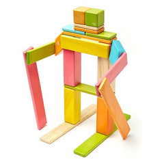 Tegu 24-Piece Magnetic Wooden Blocks - Tints