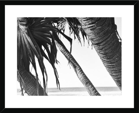 Gold Coast Palms Framed Print - Seek & Ramble