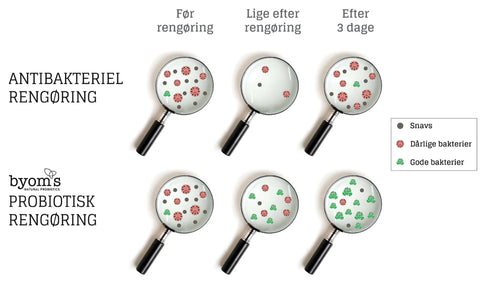 Probiotisk Rengøring
