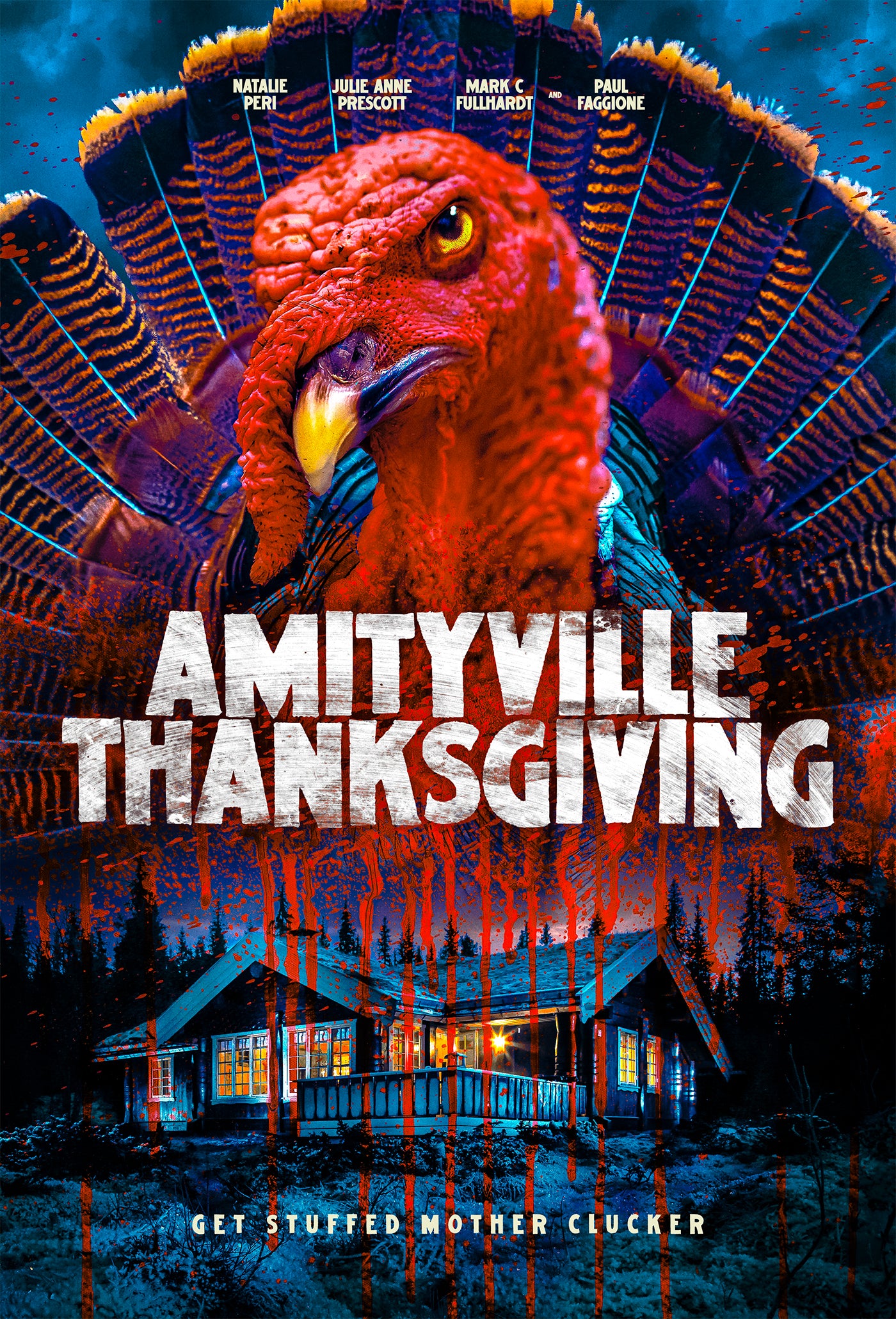 AMITYVILLE THANKSGIVING DVD