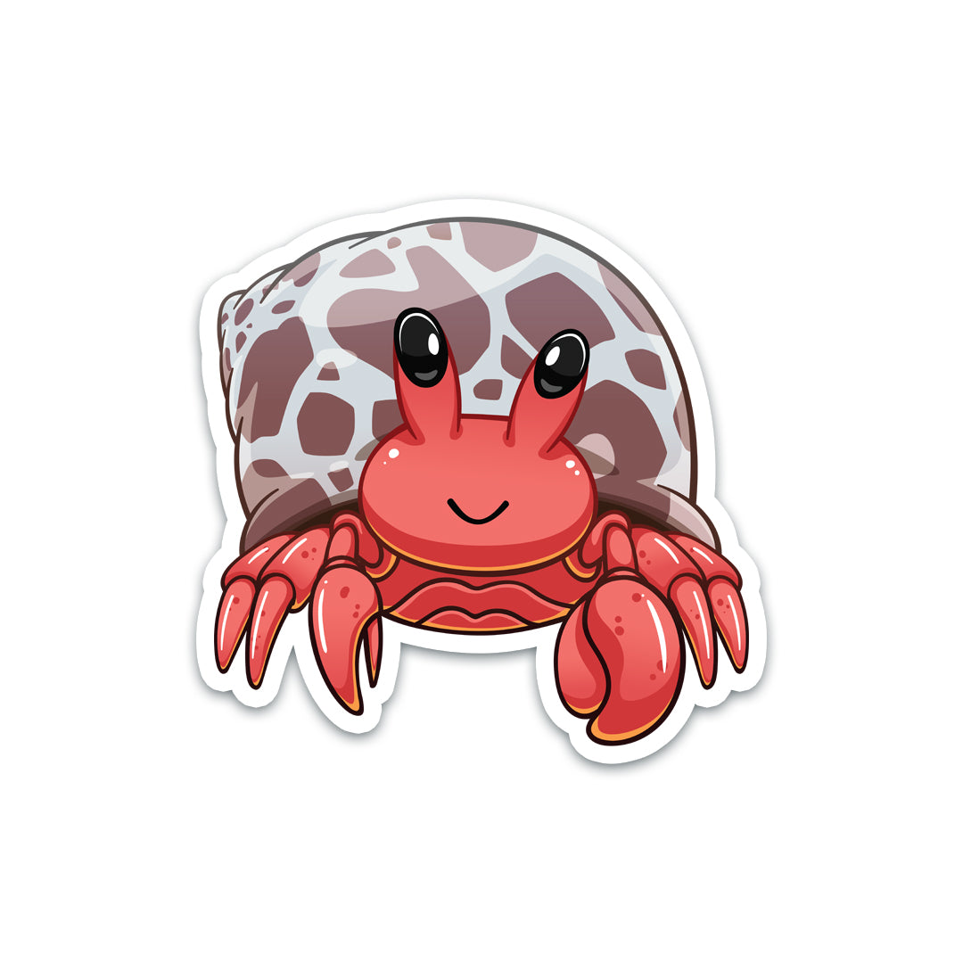 really cute hermit crabs