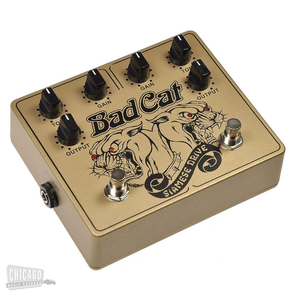 Bad Cat Siamese Dual Drive – Chicago Music Exchange