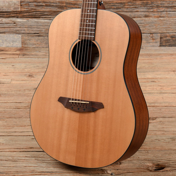 breedlove passport d20