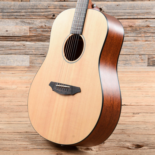 breedlove passport d20