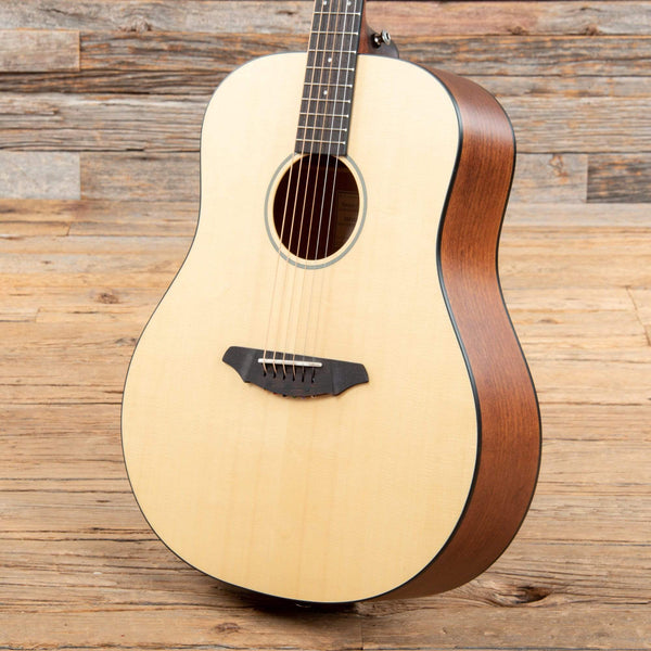 breedlove passport d200