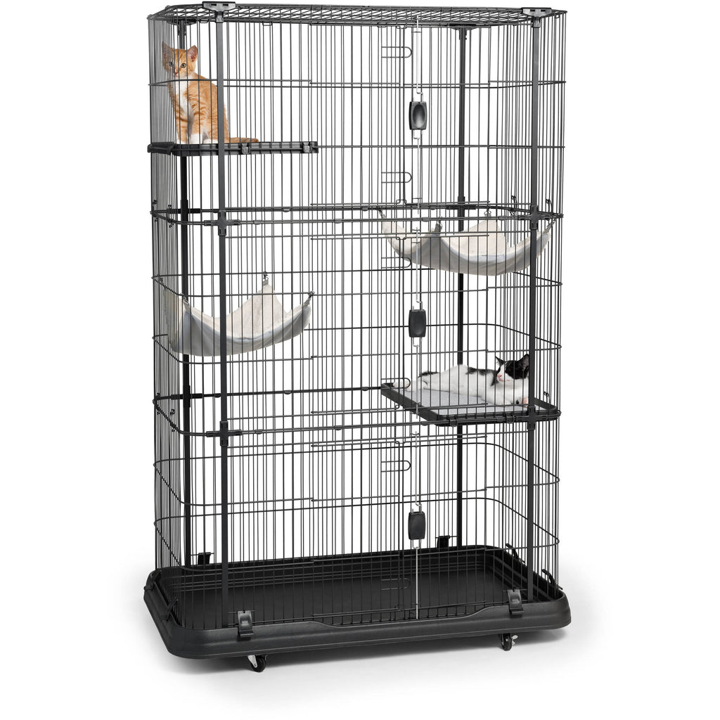 black cat cage