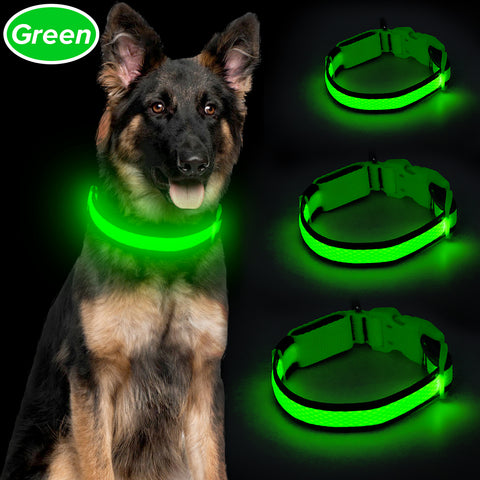 Mesh USB Rechargeable LED Dog Collar