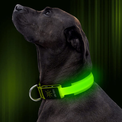 BSEEN Direct Nylon Webbing LED Dog Collar 