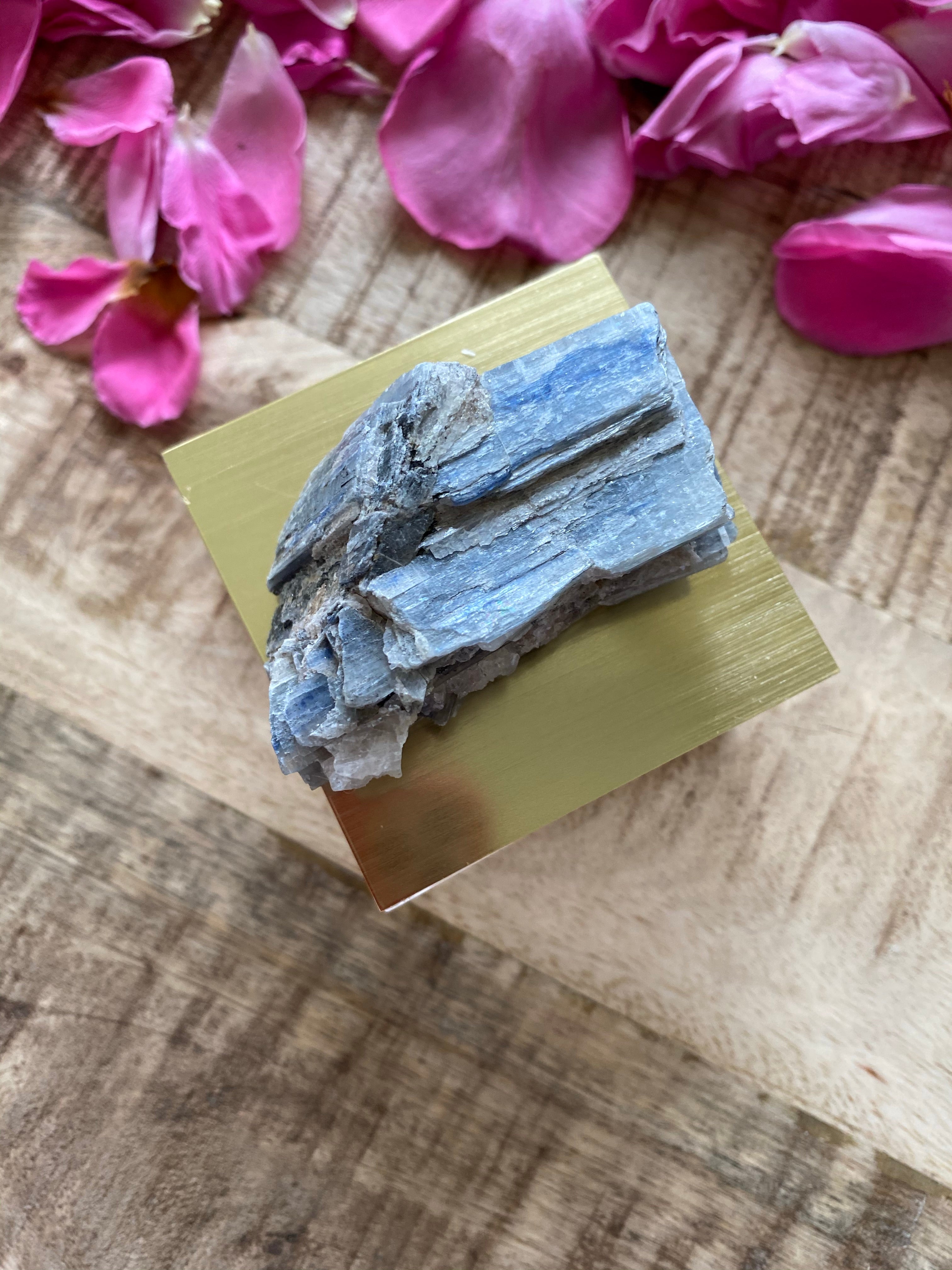 Gold Gem Box w/ Blue Kyanite