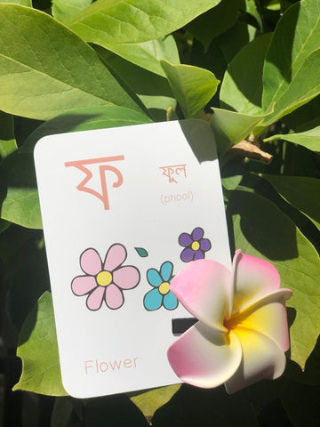 flower flashcard
