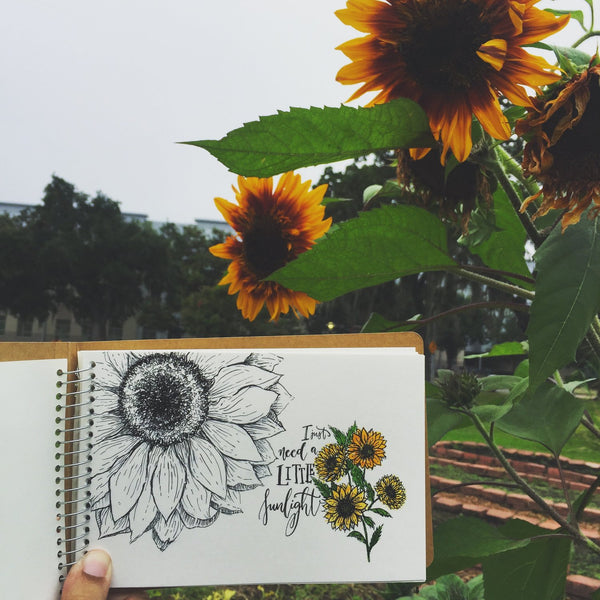 illustrated sunflower