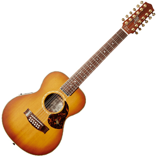 maton mini diesel 12 string