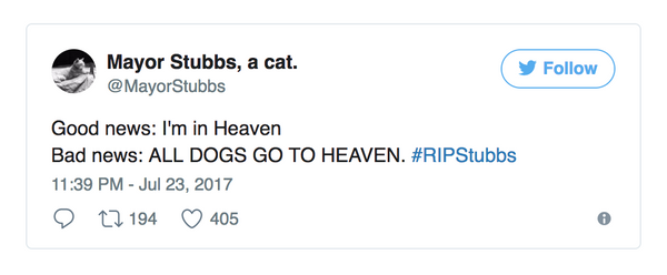 mayor stubbs cat tweets