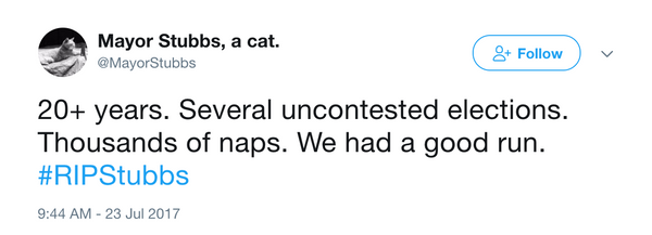 mayor stubbs cat tweets