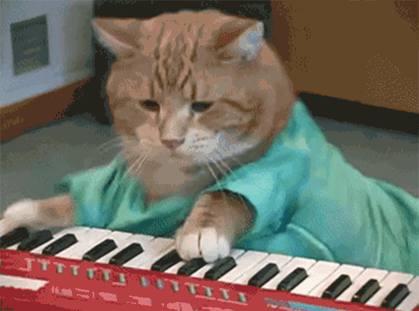 RIP Bento, Legendary Keyboard Cat and Master of Synth – Meowingtons