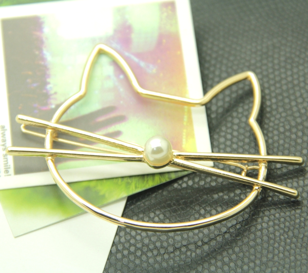 cat hair pin