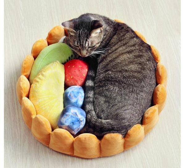 Fruit Tart Cat Bed – Meowingtons