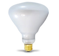 BR40 Incandescent