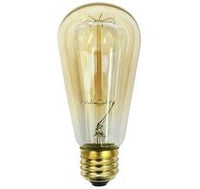 Edison Antique Bulbs