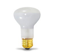 R20 Incandescent