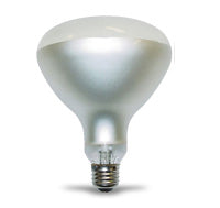 R40 Incandescent