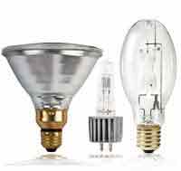 Stage Light Bulbs