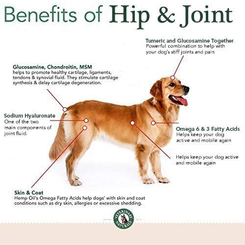 what can i give my dog for hip and joint pain