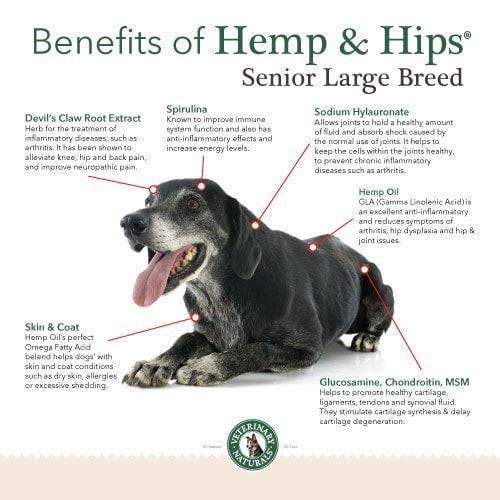 hemp and hips senior large breed