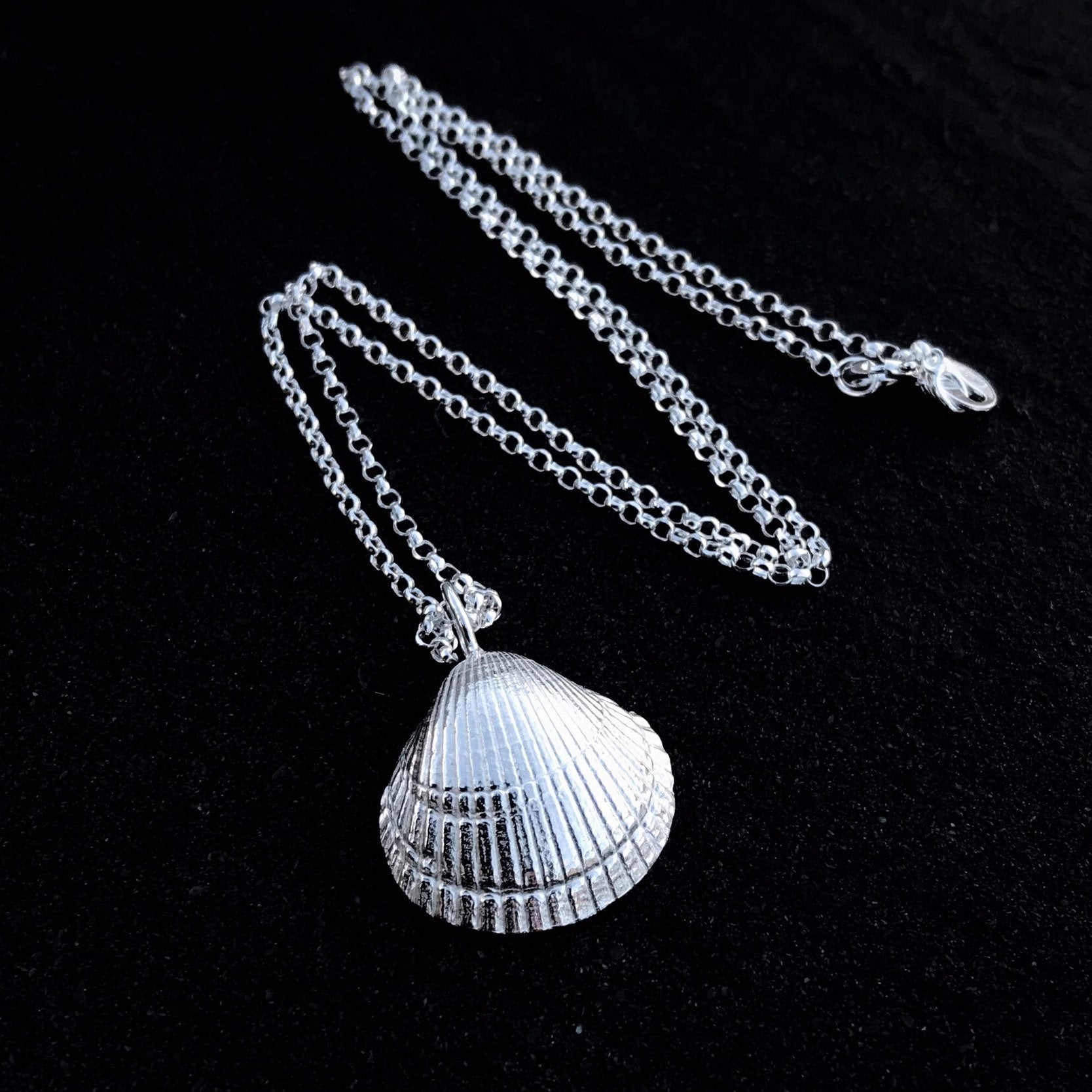 cockle shell necklace