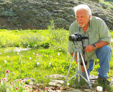 Bernie Nagy photographing Queen's Crown wildflowers