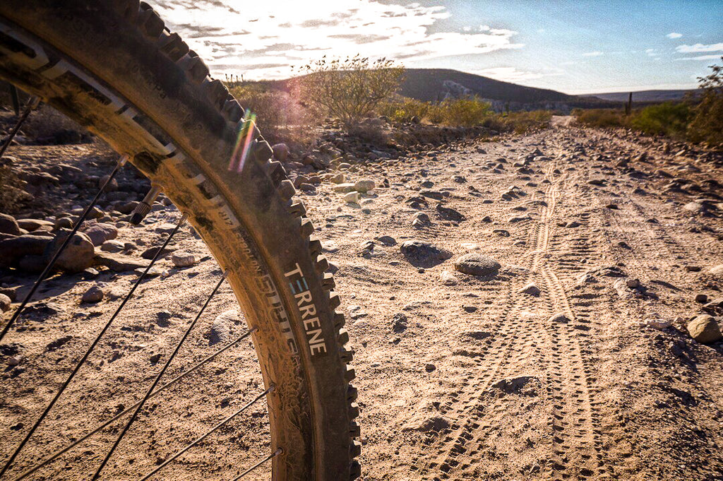 Bikepacking Tire