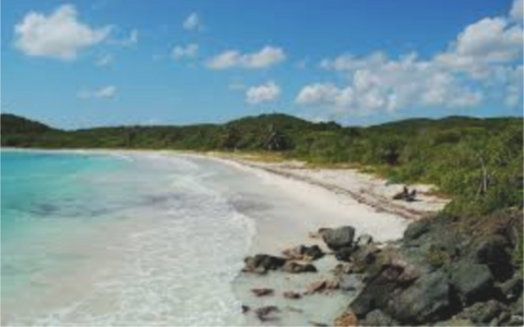 Island of Vieques