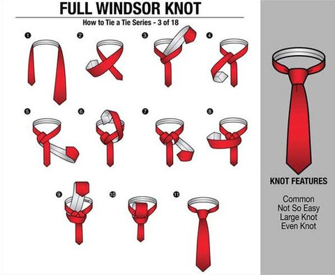 Full Windsor Knot Infographic