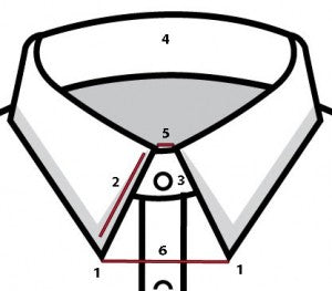 What to Look for in a Collar