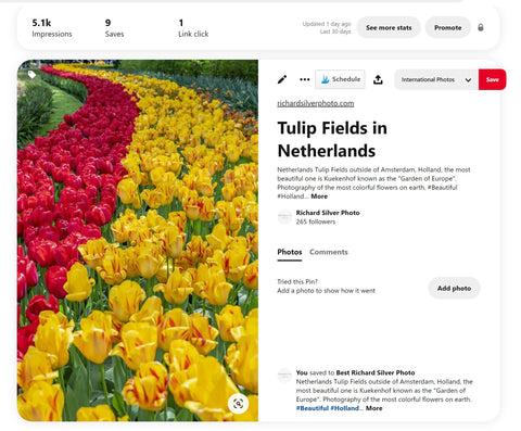 Pinterest-Netherlands-Tulips
