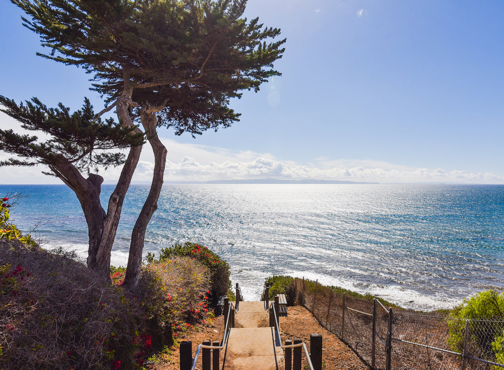 Santa Barbara Mesa Lane Beach Steps // Blake Bronstad Photography