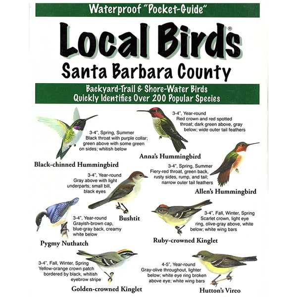 Santa Barbara local birds pocket guide