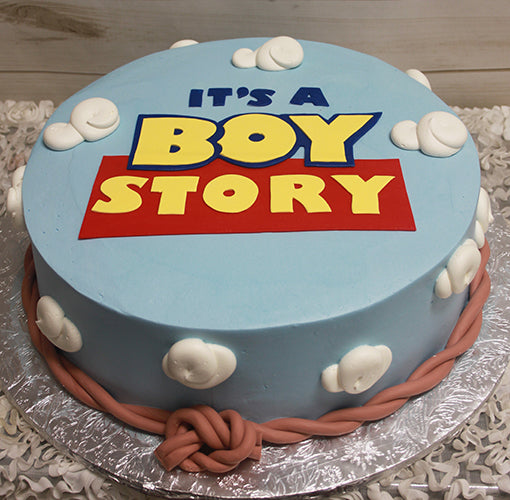 its a boy story baby shower cake