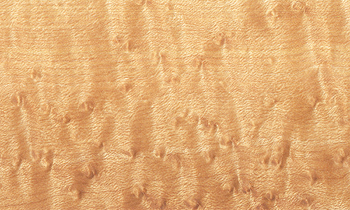 Birds Eye Maple