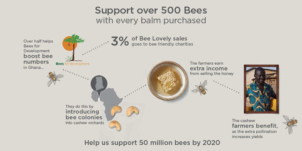 Bee Lovely Charity Infographic
