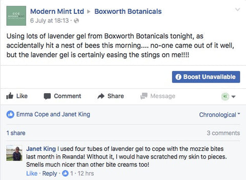 Lavender Gel Review