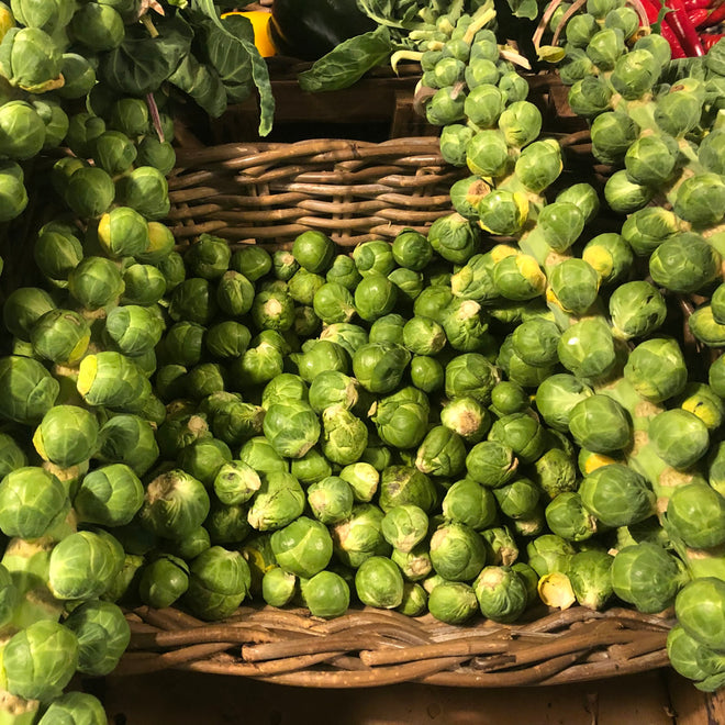 Market Fresh Vegetables