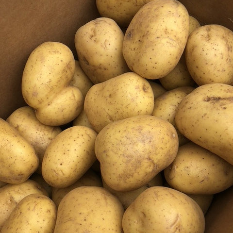 Jacket Potatoes - Each - Langthorpe Farm Shop